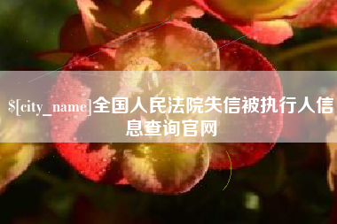 常德全国人民法院失信被执行人信息查询官网