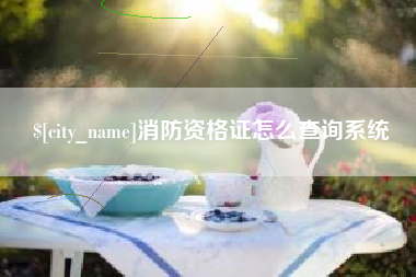 常德消防资格证怎么查询系统