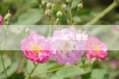 常德第九金是