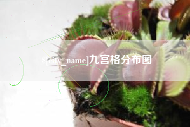 常德九宫格分布图