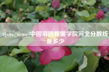 常德中国消防救援学院河北分数线是多少