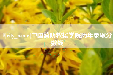 常德中国消防救援学院历年录取分数线