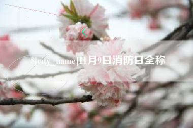 常德11月9日消防日全称
