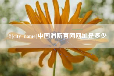 常德中国消防官网网址是多少