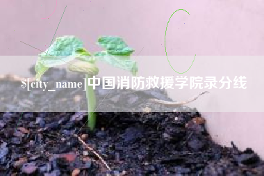 常德中国消防救援学院录分线
