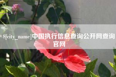 常德中国执行信息查询公开网查询官网