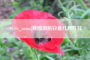 常德我国消防日是几月几日