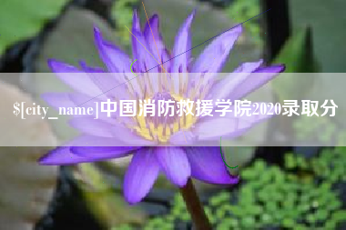 常德中国消防救援学院2020录取分