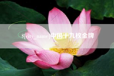 常德中国十九枚金牌