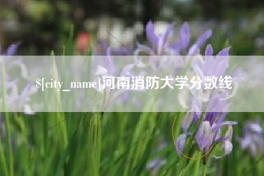 常德河南消防大学分数线