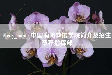 常德中国消防救援学院简介及招生章程指挥部