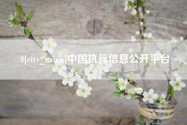 常德中国执行信息公开平台