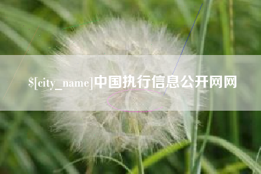 常德中国执行信息公开网网
