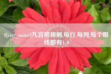 常德九宫格规则,每行,每列,每个粗线都有1-9