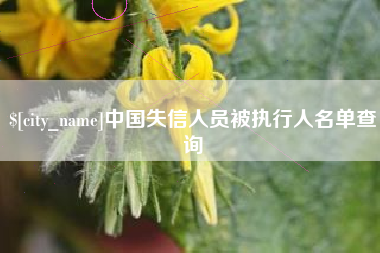 常德中国失信人员被执行人名单查询