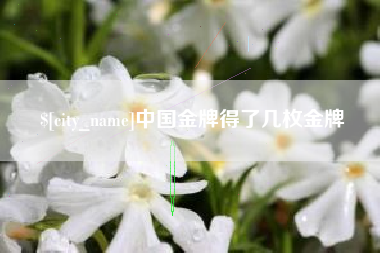 常德中国金牌得了几枚金牌