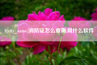 常德消防证怎么查询,用什么软件