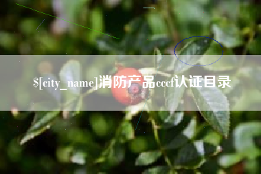 常德消防产品cccf认证目录