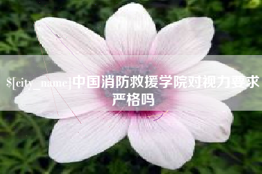 常德中国消防救援学院对视力要求严格吗