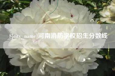 常德河南消防学校招生分数线