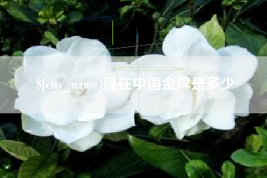 常德现在中国金牌是多少