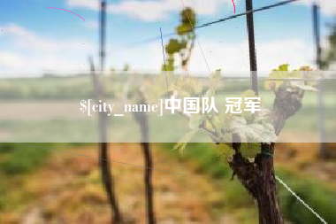 常德中国队 冠军