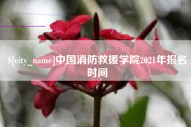 常德中国消防救援学院2021年报名时间