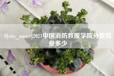 常德2021中国消防救援学院分数线是多少