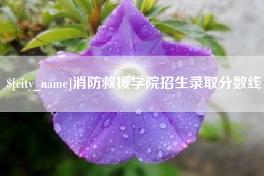 常德消防救援学院招生录取分数线