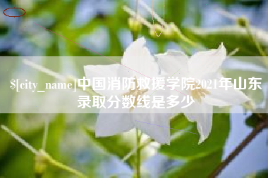 常德中国消防救援学院2021年山东录取分数线是多少