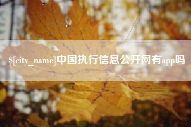 常德中国执行信息公开网有app吗