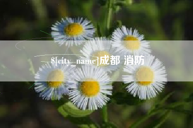 常德成都 消防