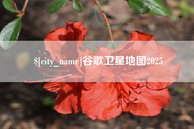 常德谷歌卫星地图2025