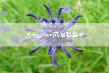 常德九宫格盘子