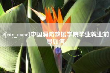 常德中国消防救援学院毕业就业前景如何