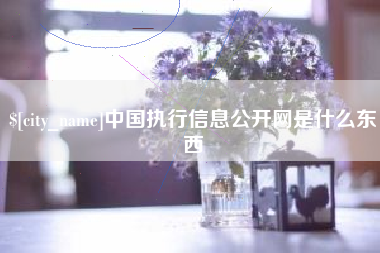 常德中国执行信息公开网是什么东西