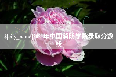 常德2021年中国消防学院录取分数线