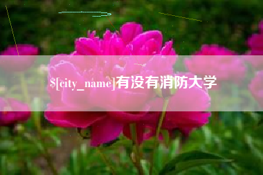 常德有没有消防大学