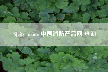 常德中国消防产品网 查询