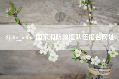 常德国家消防救援队伍报名网址