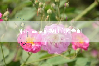常德消控证官网查询