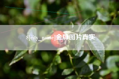 常德金牌图片真实