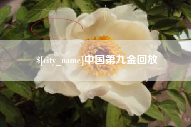 常德中国第九金回放