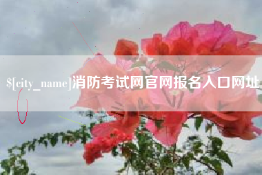 常德消防考试网官网报名入口网址
