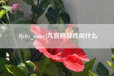 常德九宫格游戏叫什么