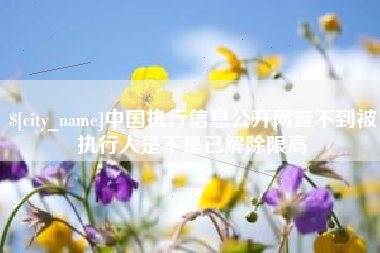 常德中国执行信息公开网查不到被执行人是不是已解除限高