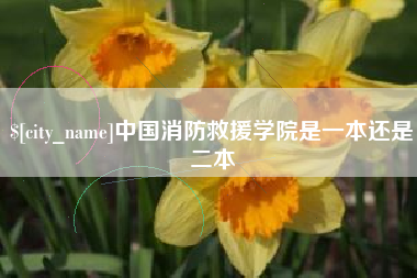 常德中国消防救援学院是一本还是二本