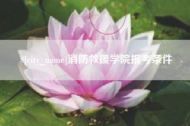 常德消防救援学院报考条件
