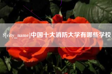 常德中国十大消防大学有哪些学校