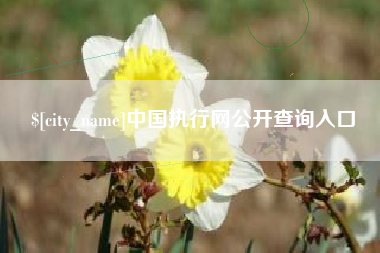 常德中国执行网公开查询入口